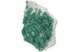 Green, Fluorescent, Cubic Fluorite Crystals - Madagascar #238389-3